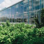 pexels-scottwebb-137618